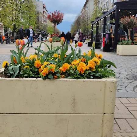 White Pearl - Location, Bright & Spacious, Newly Renovated Appartamento